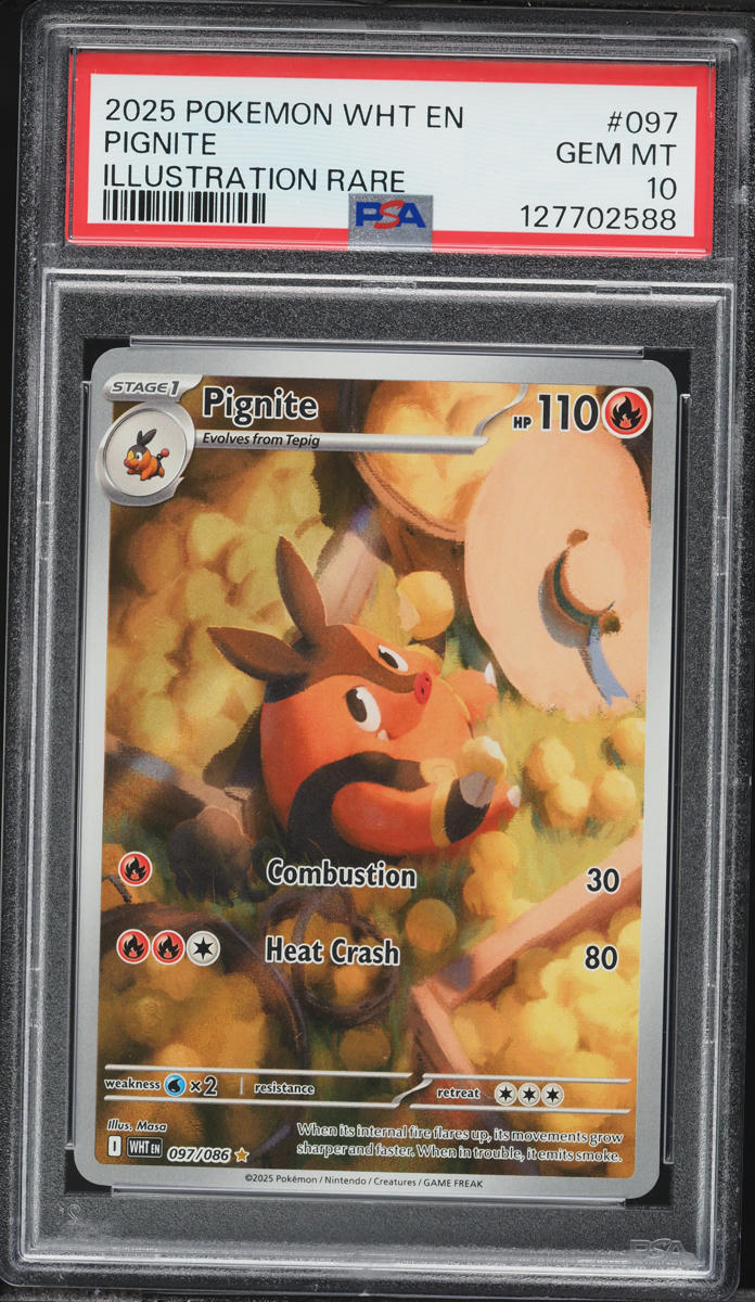 2025 Pokemon Scarlet & Violet White Flare IR Pignite #97 PSA 10 GEM MINT