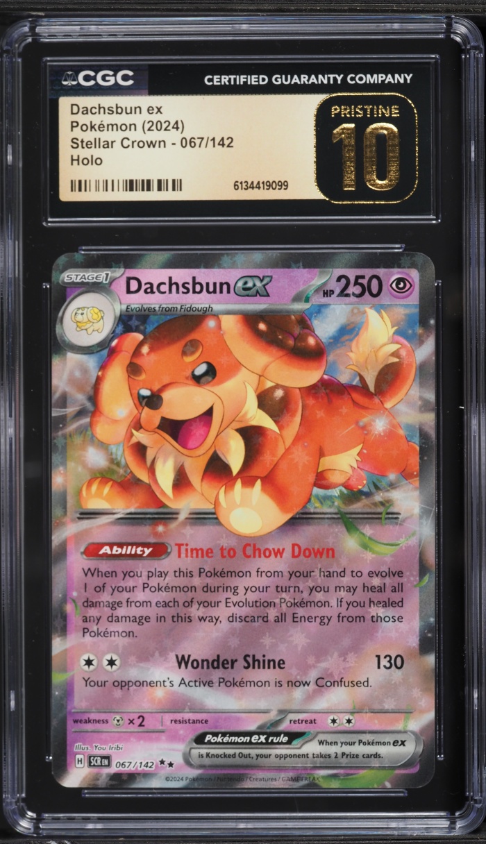 2024 Pokemon Scarlet & Violet Stellar Crown Holo Dachsbun ex #67 CGC 10 PRISTINE