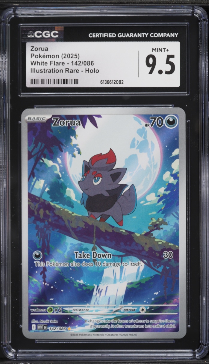 2025 Pokemon Scarlet & Violet White Flare IR Zorua #142 CGC 9.5 MINT+