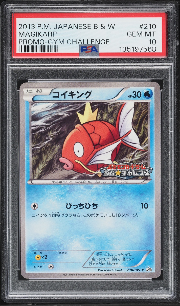 2013 Pokemon Japanese Black & White Promo Gym Challenge Magikarp #210 PSA 10 GEM MINT