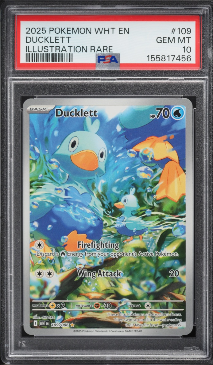 2025 Pokemon Scarlet & Violet White Flare IR Ducklett #109 PSA 10 GEM MINT