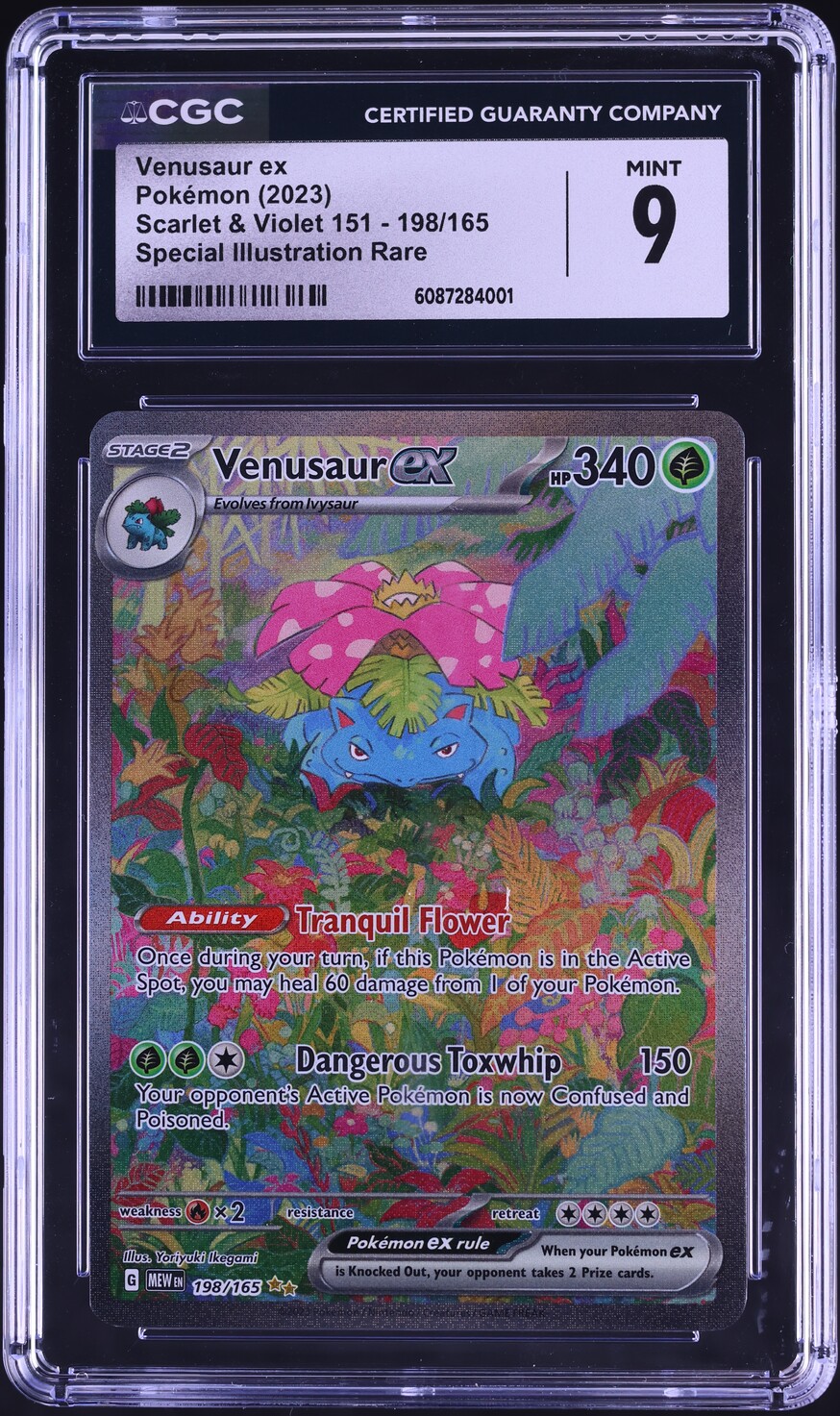 Chase Card Venusaur Ex Venusaur Ex SR 184/165 Holo - Japanese Pokemon Card  151 - Near Mint Venusaur Ex SR Card