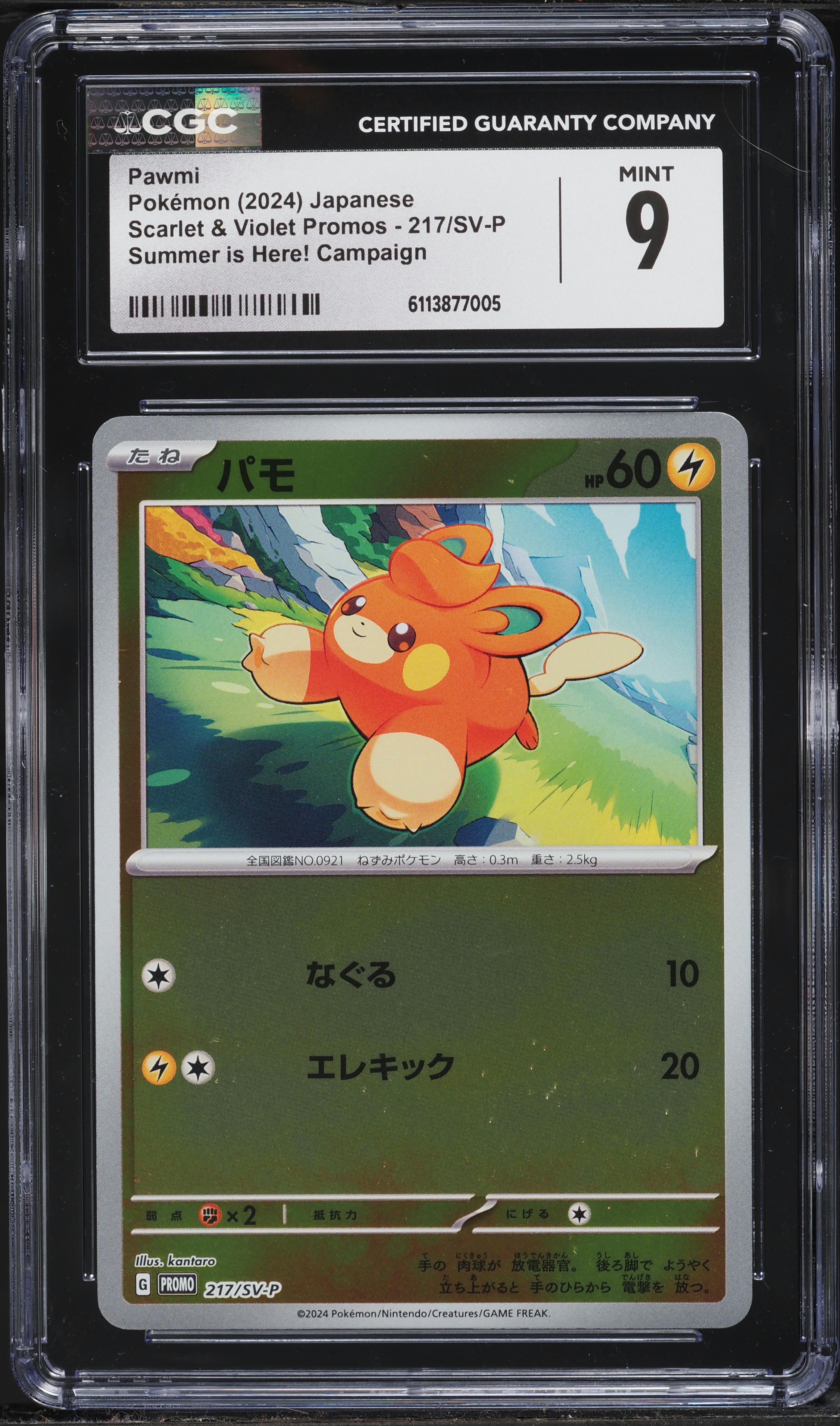 2024 Pokemon Japanese Scarlet & Violet Promo Summer Is Here! Campaign Pawmi CGC 9 MINT