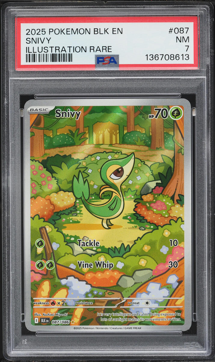 2025 Pokemon Scarlet & Violet Black Bolt IR Snivy #87 PSA 7 NRMT