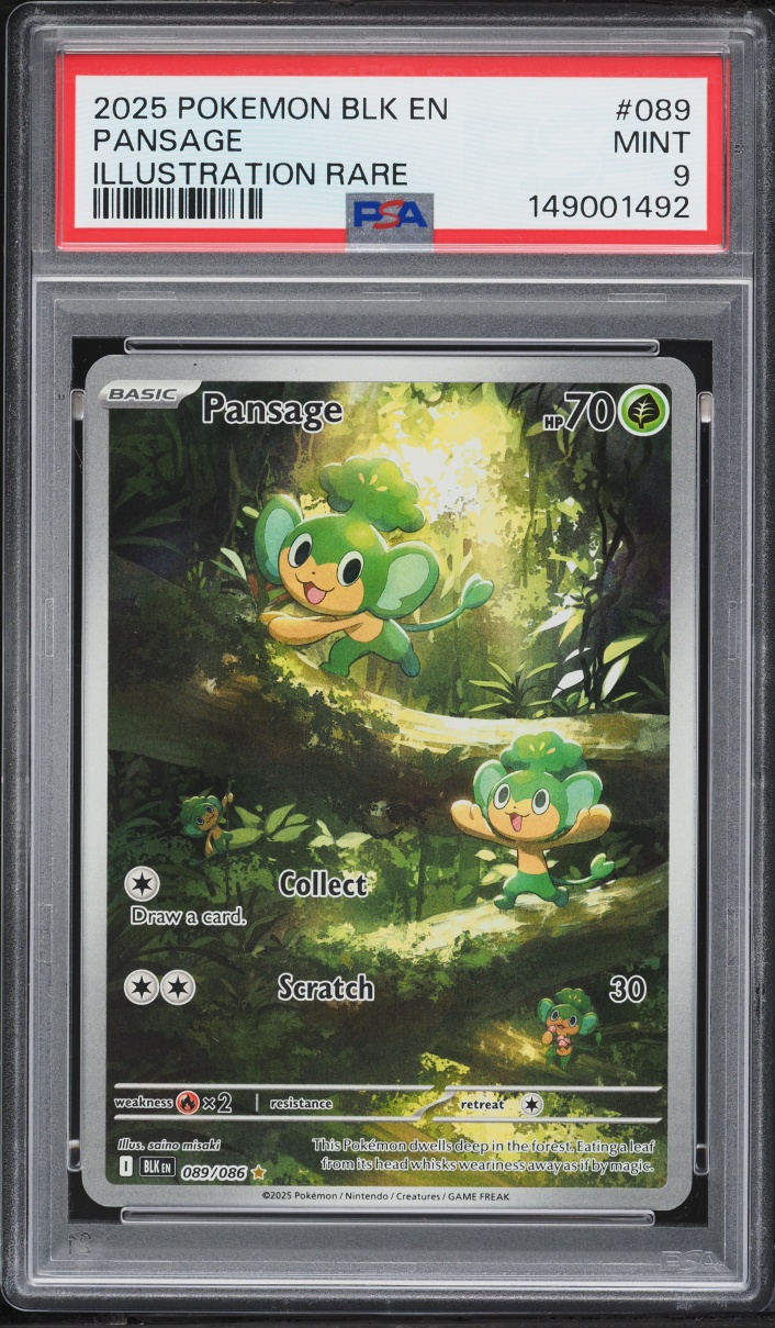2025 Pokemon Scarlet & Violet Black Bolt IR Pansage #89 PSA 9 MINT