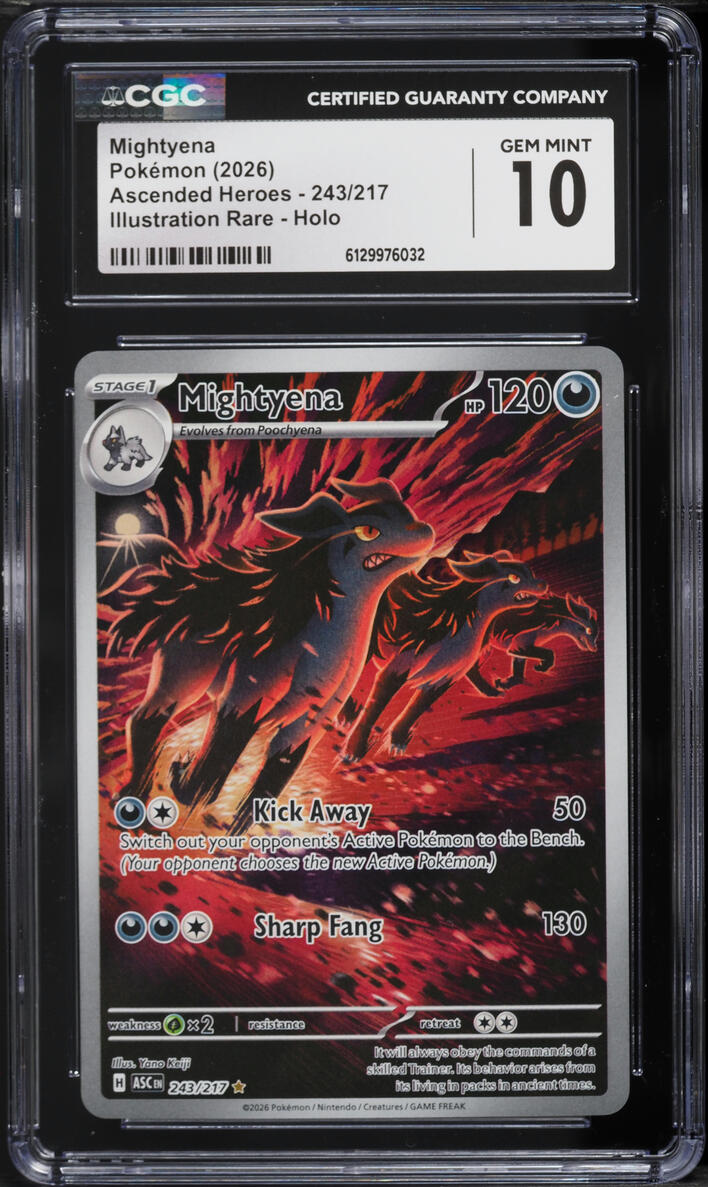 2026 Pokemon Mega Evolution Ascended Heroes IR Mightyena #243 CGC 10 GEM MINT