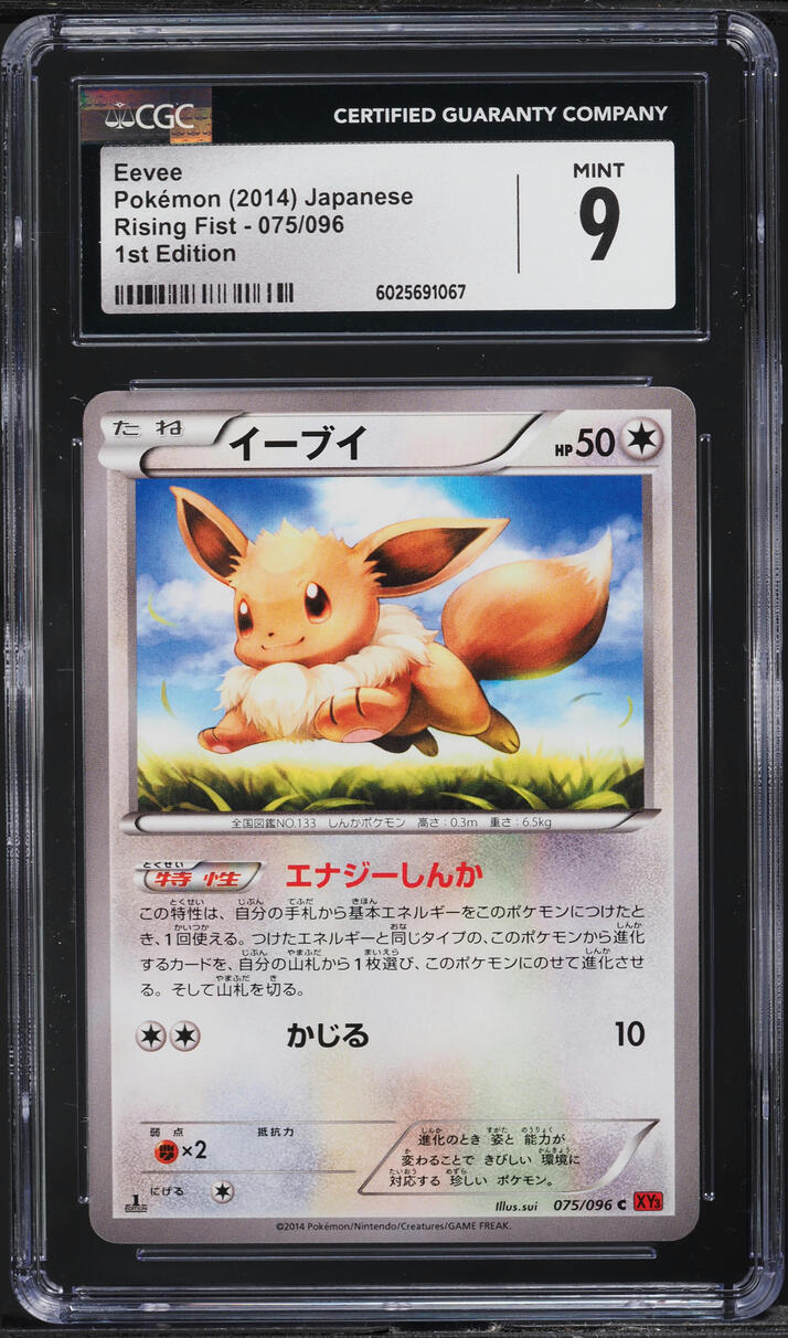 2014 Pokemon Japanese XY Rising Fist 1st Edition Eevee #75 CGC 9 MINT