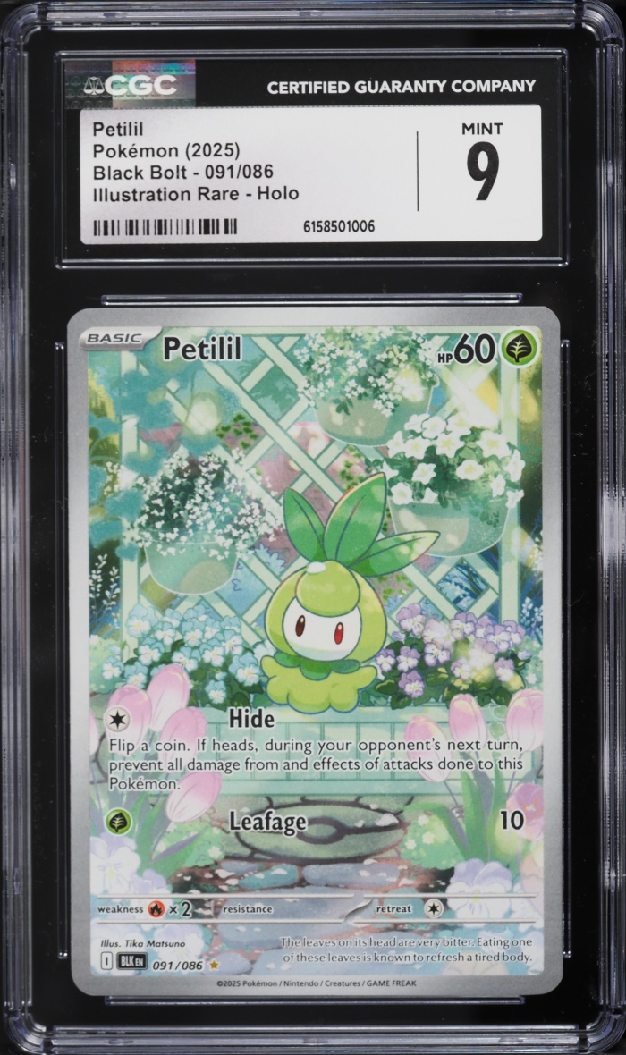 2025 Pokemon Scarlet & Violet Black Bolt IR Petilil #91 CGC 9 MINT