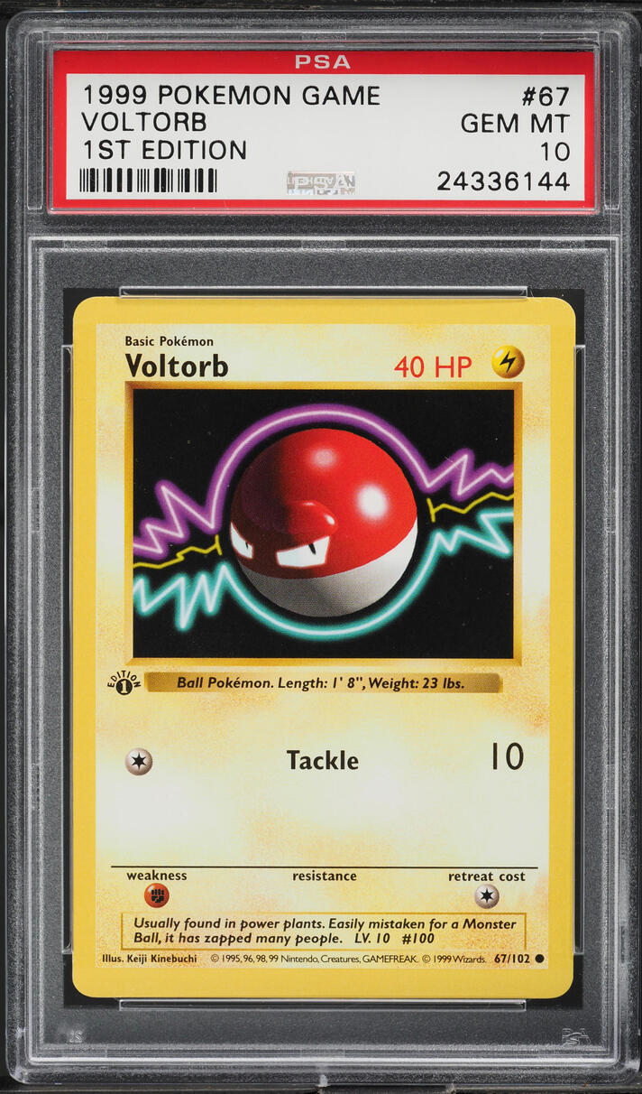 1999 Pokemon Base Set Shadowless 1st Edition Voltorb #67 PSA 10 GEM MINT