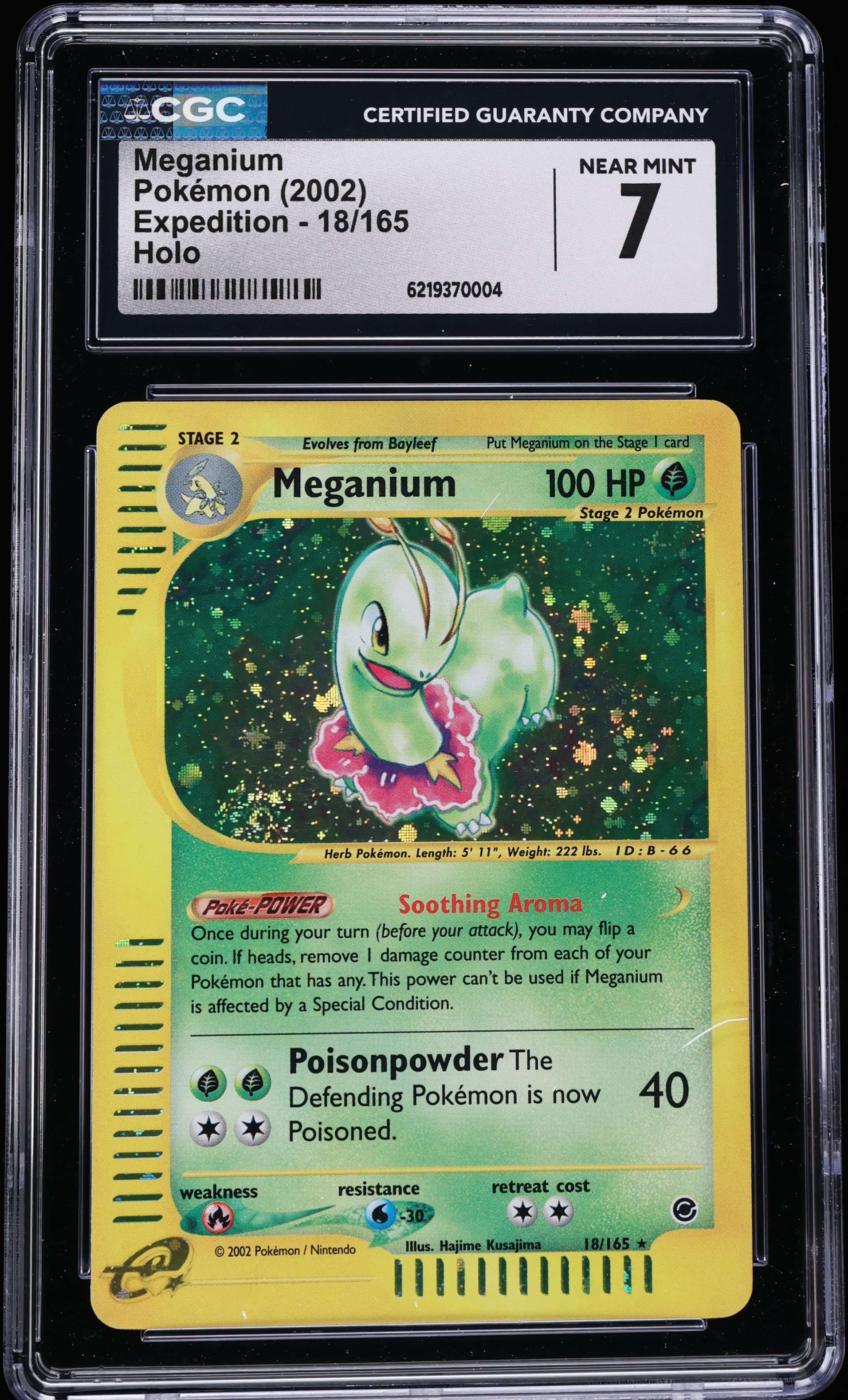 2002 Pokemon Expedition Holo Meganium #18 CGC 7 NRMT