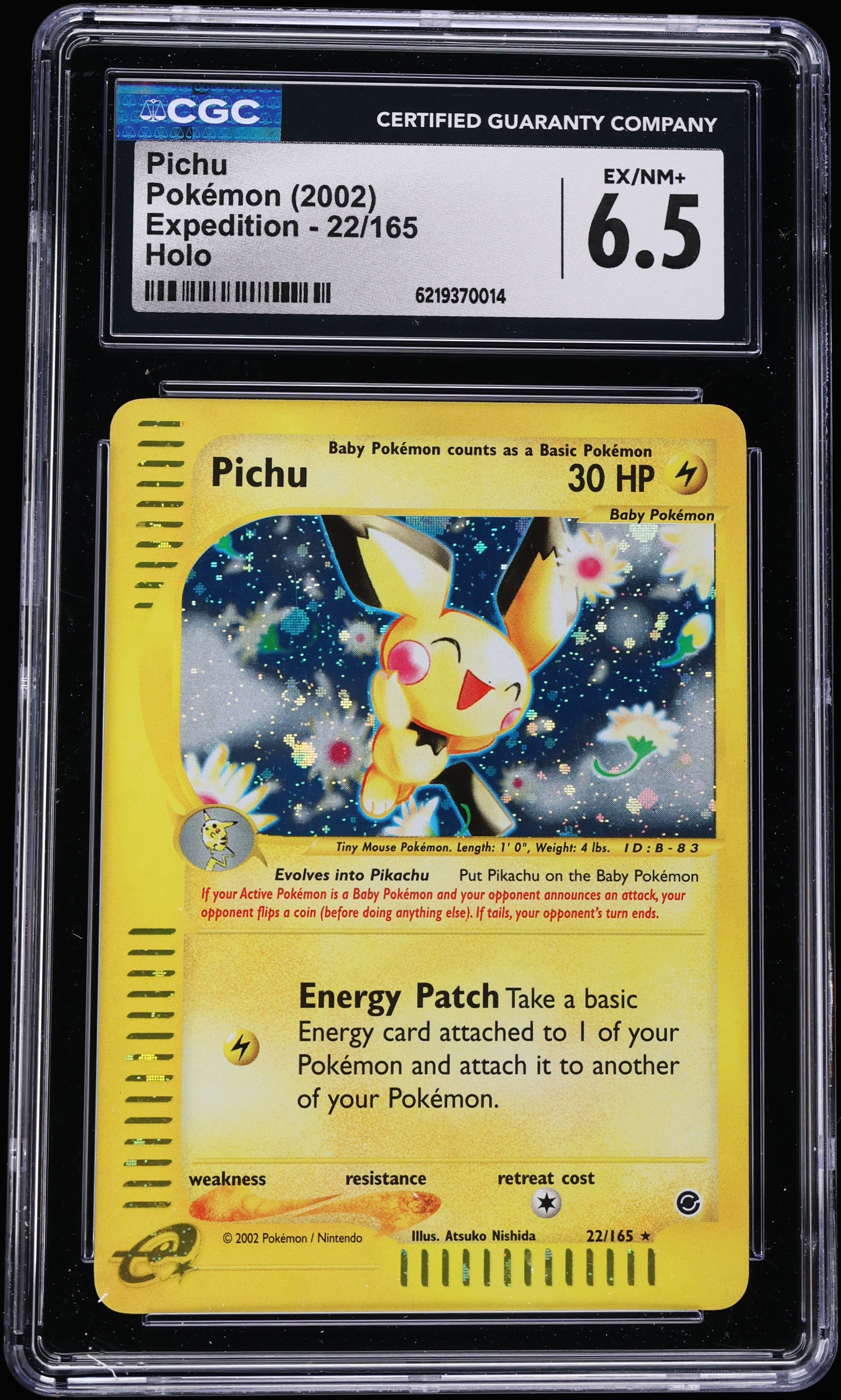 2002 Pokemon Expedition Holo Pichu #22 CGC 6.5 EXMT+