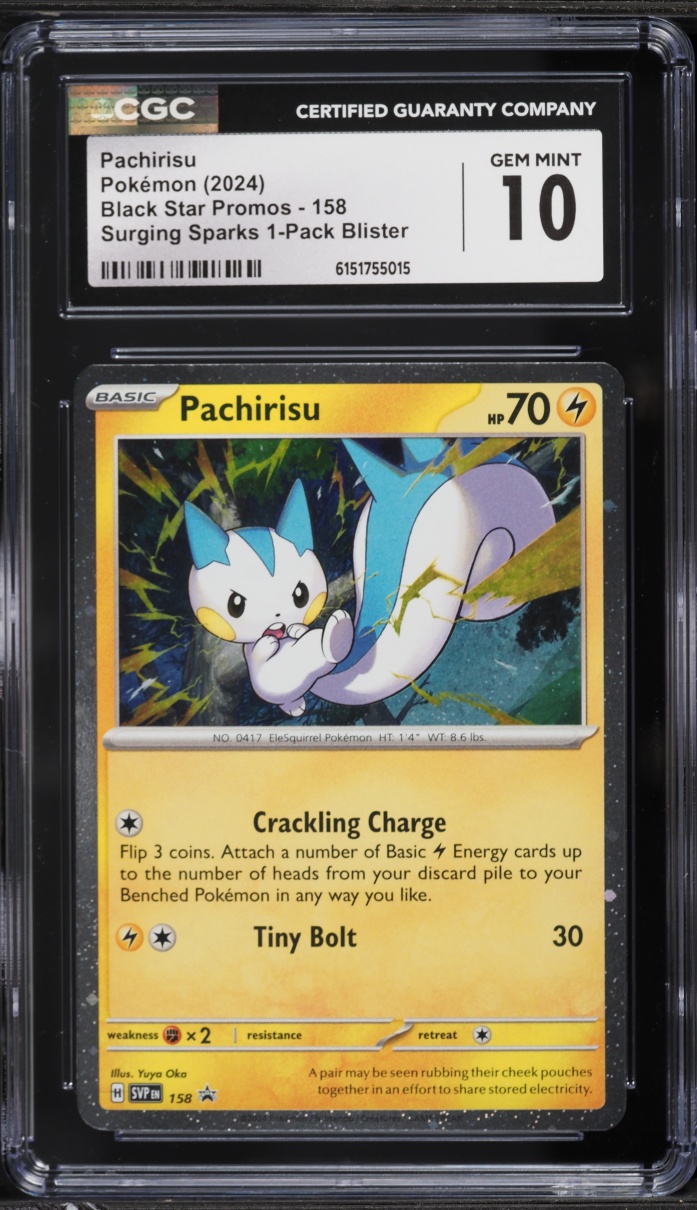 2024 Pokemon Scarlet & Violet Black Star Promo Surging Sparks Pachirisu #158 CGC 10 GEM MINT