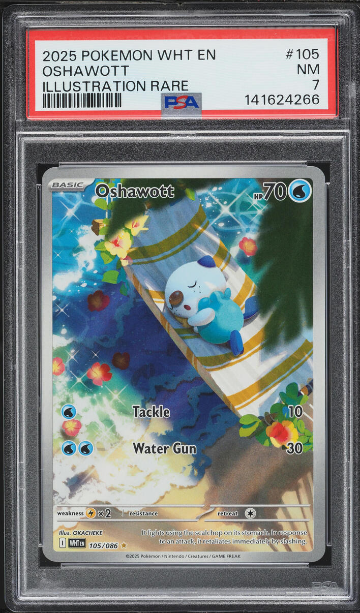 2025 Pokemon Scarlet & Violet White Flare IR Oshawott #105 PSA 7 NRMT