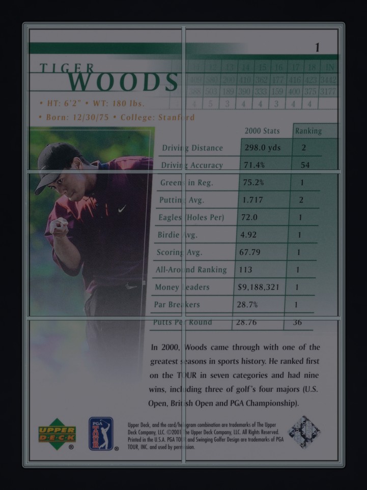 2001 Upper Deck Golf Tiger Woods ROOKIE #1 MBA AUTH