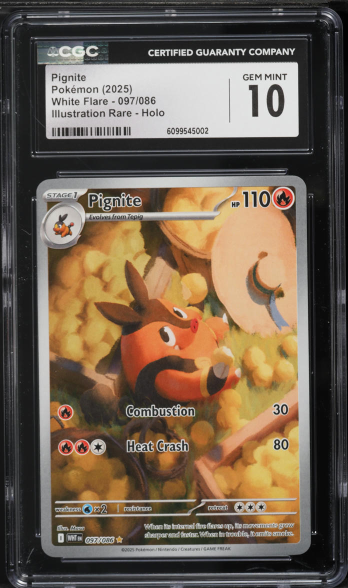 2025 Pokemon Scarlet & Violet White Flare IR Pignite #97 CGC 10 GEM MINT