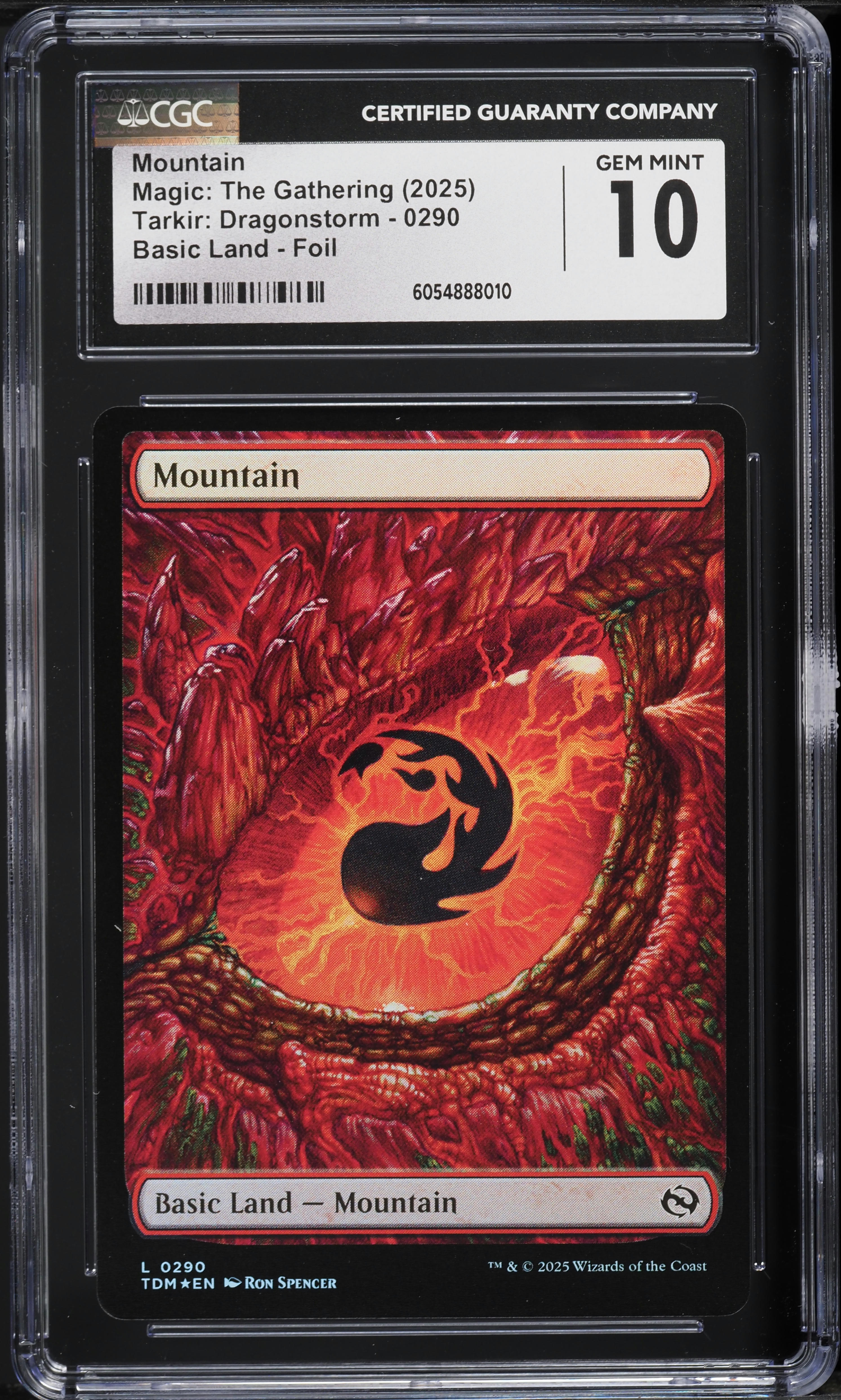 2025 Magic The Gathering MTG Tarkir: Dragonstorm Foil