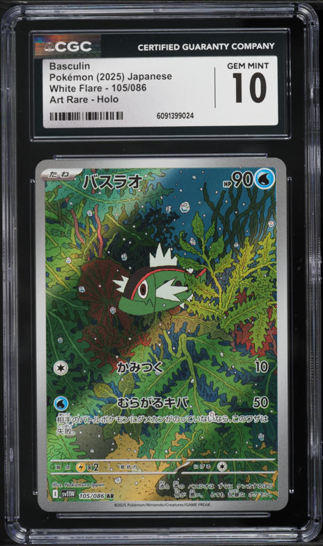 2025 ポケモンカード Hilda #173 SPECIAL ART RARE 2025 ポケモン