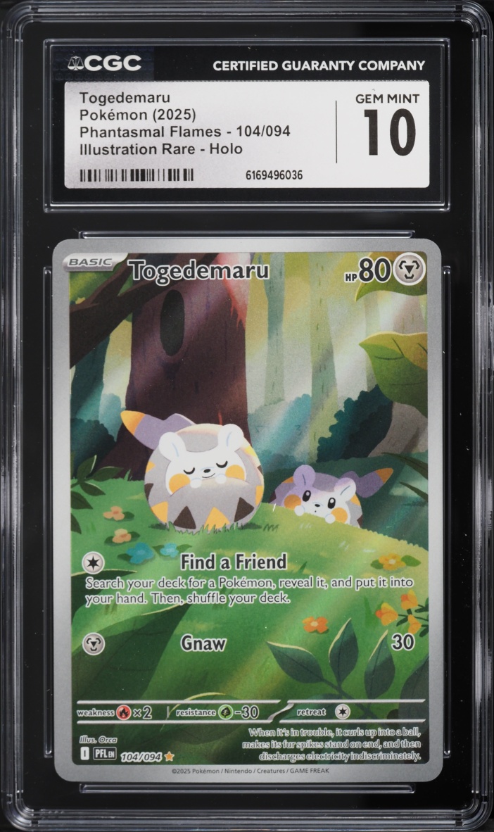 2025 Pokemon Mega Evolution Phantasmal Flames IR Togedemaru #104 CGC 10 GEM MINT