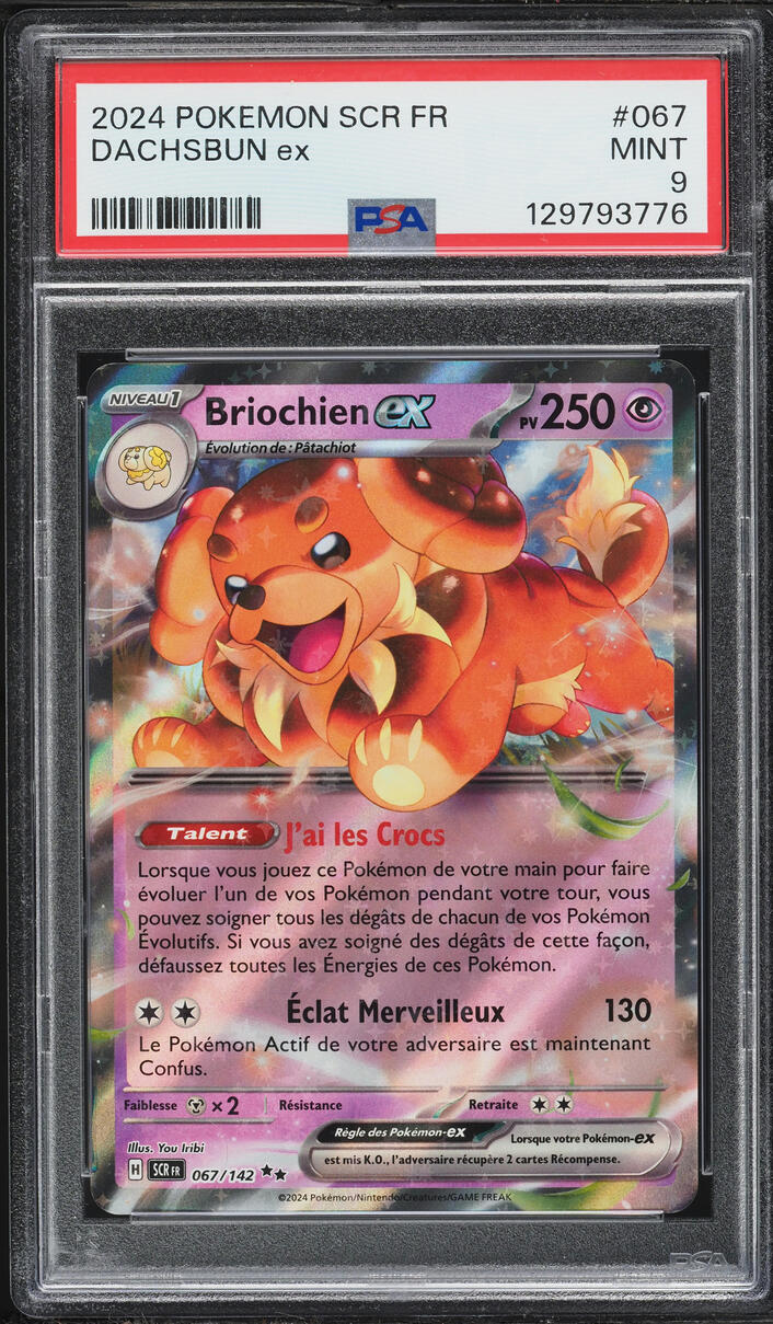 2024 Pokemon French Scarlet & Violet Stellar Crown Holo Dachsbun ex #67 PSA 9 MINT
