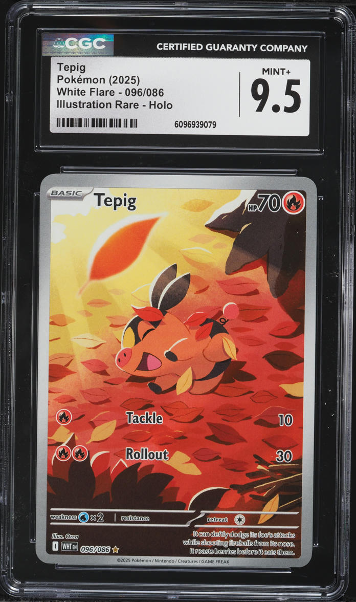 2025 Pokemon Scarlet & Violet White Flare IR Tepig #96 CGC 9.5 MINT+