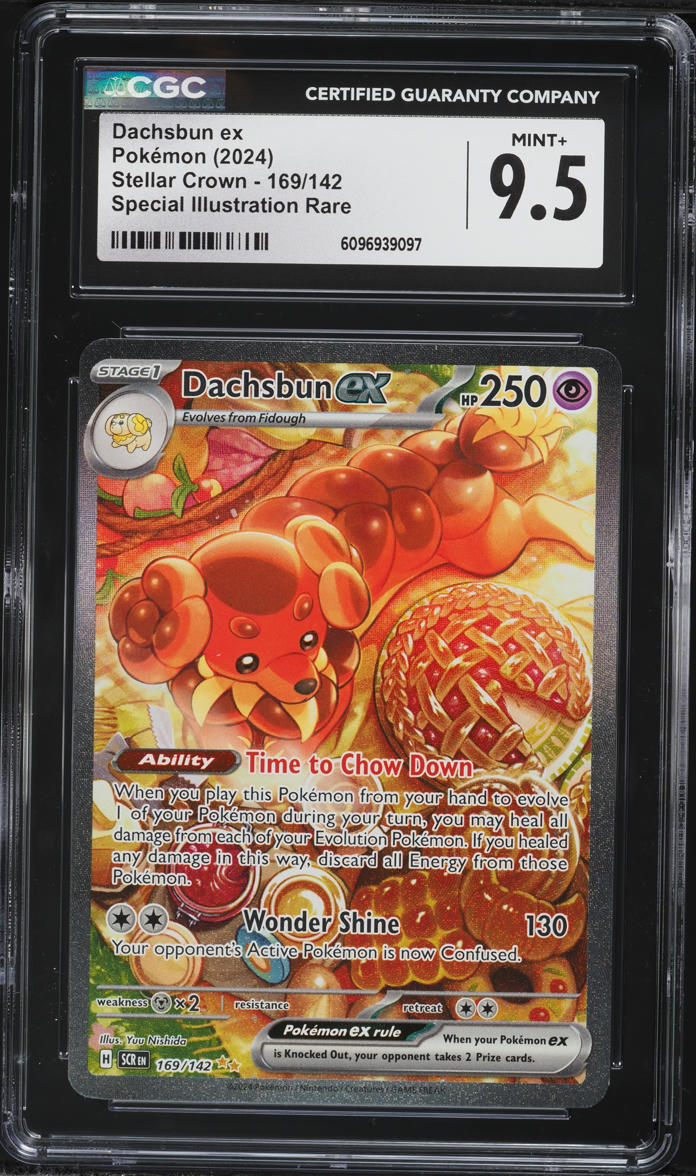 2024 Pokemon Scarlet & Violet Stellar Crown SIR Dachsbun ex #169 CGC 9.5 MINT+
