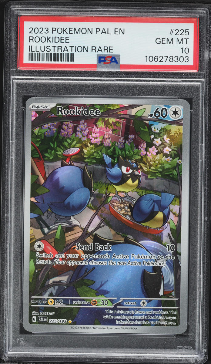 2023 Pokemon Scarlet & Violet Paldea Evolved IR Rookidee #225 PSA 10 GEM MINT