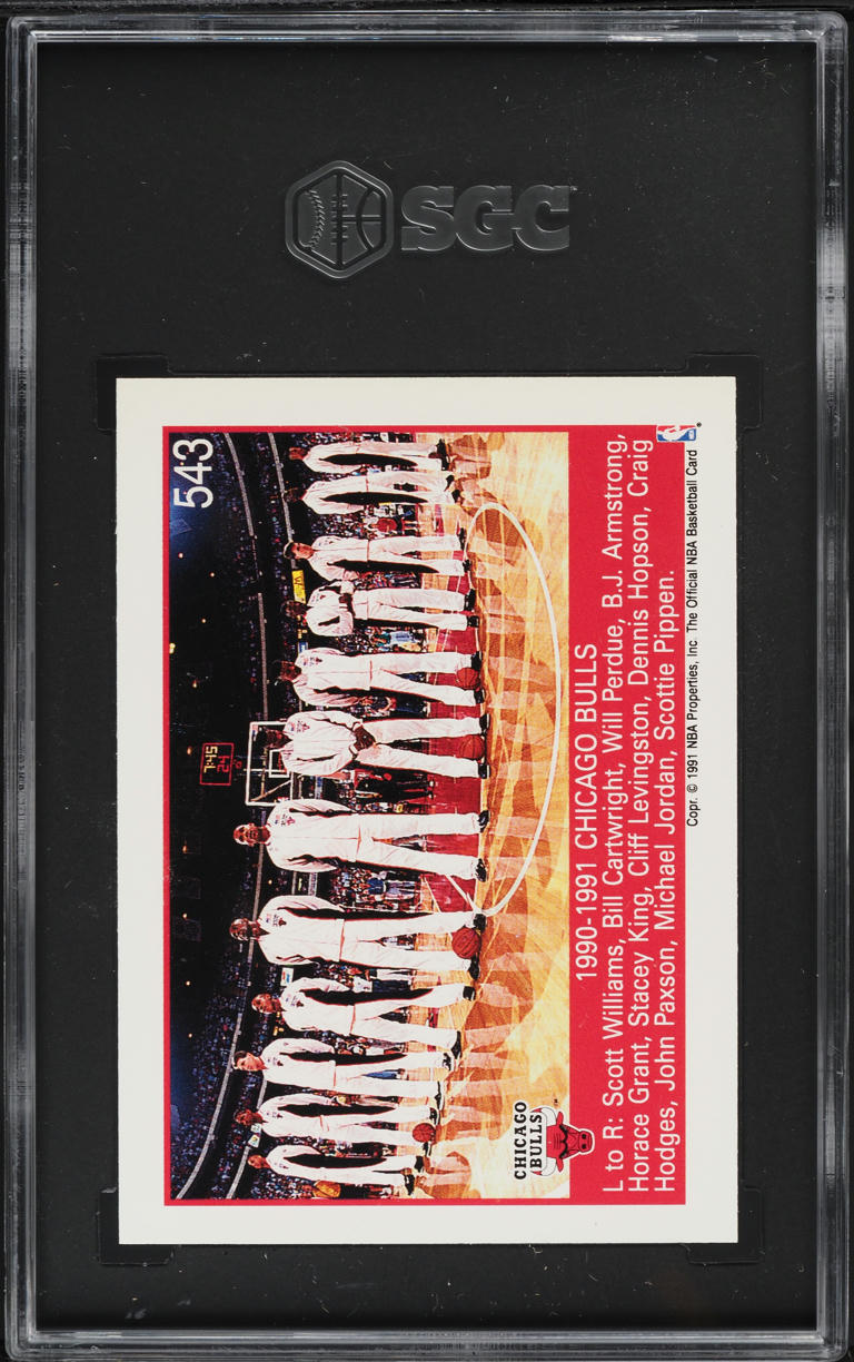 1991 Hoops '91 NBA Champions w/ Michael Jordan #543 SGC 5 EX