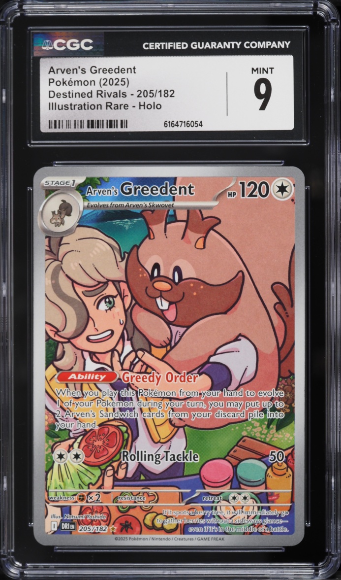 2025 Pokemon Scarlet & Violet Destined Rivals IR Arven's Greedent #205 CGC 9 MINT