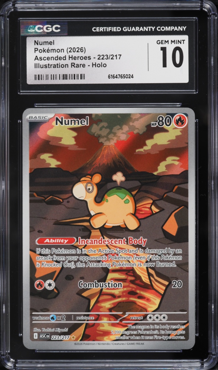 2026 Pokemon Mega Evolution Ascended Heroes IR Numel #223 CGC 10 GEM MINT