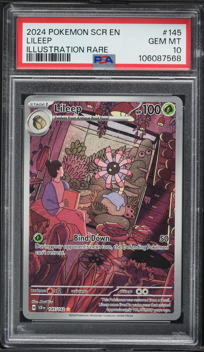 2024 Pokemon Scarlet & Violet Stellar Crown IR Lileep #145 PSA 10 GEM MINT