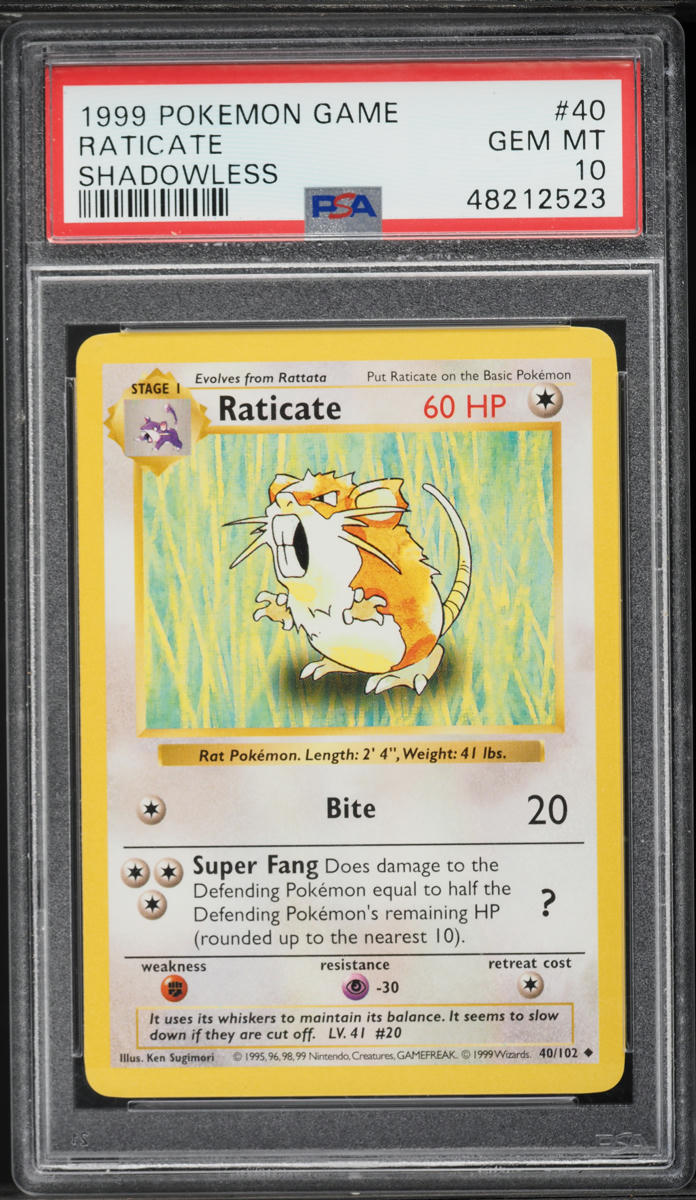 1999 Pokemon Base Set Shadowless Raticate #40 PSA 10 GEM MINT