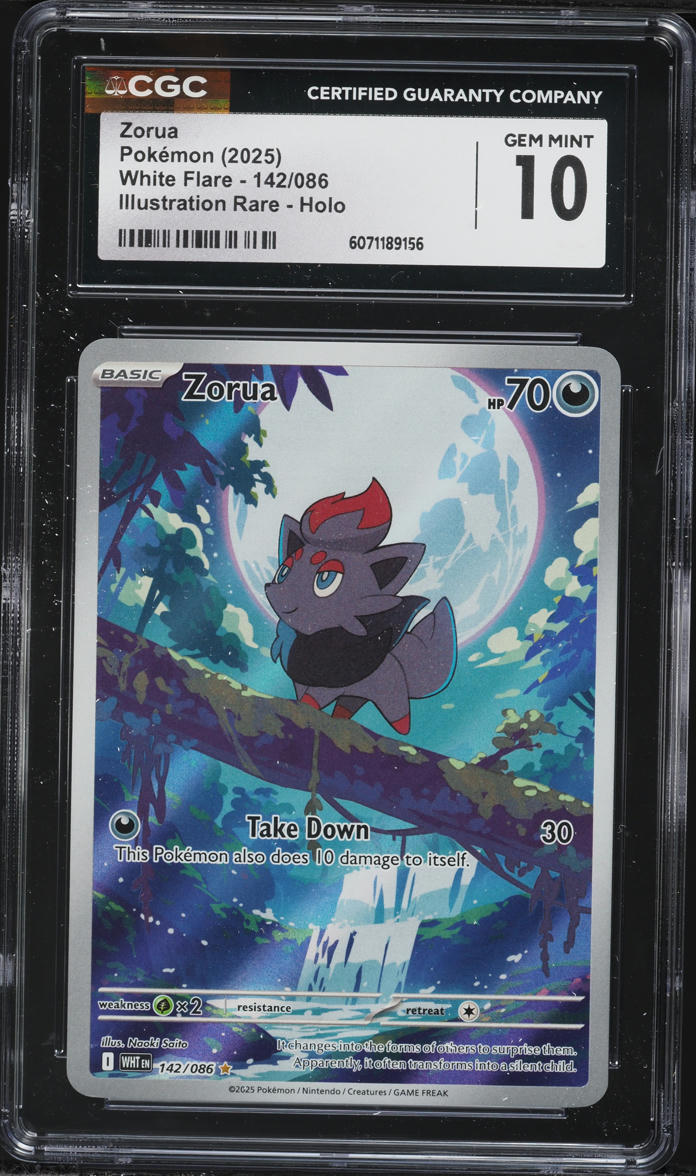 2025 Pokemon Scarlet & Violet White Flare IR Zorua #142 CGC 10 GEM MINT