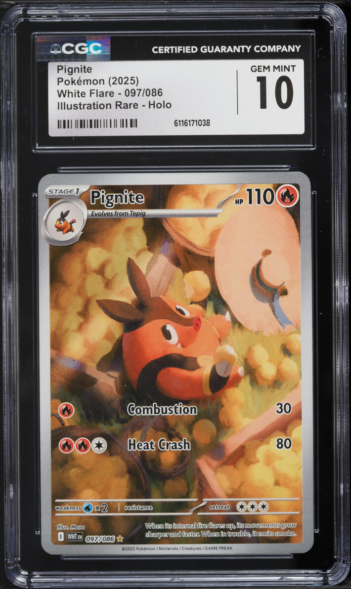 2025 Pokemon Scarlet & Violet White Flare IR Pignite #97 CGC 10 GEM MINT