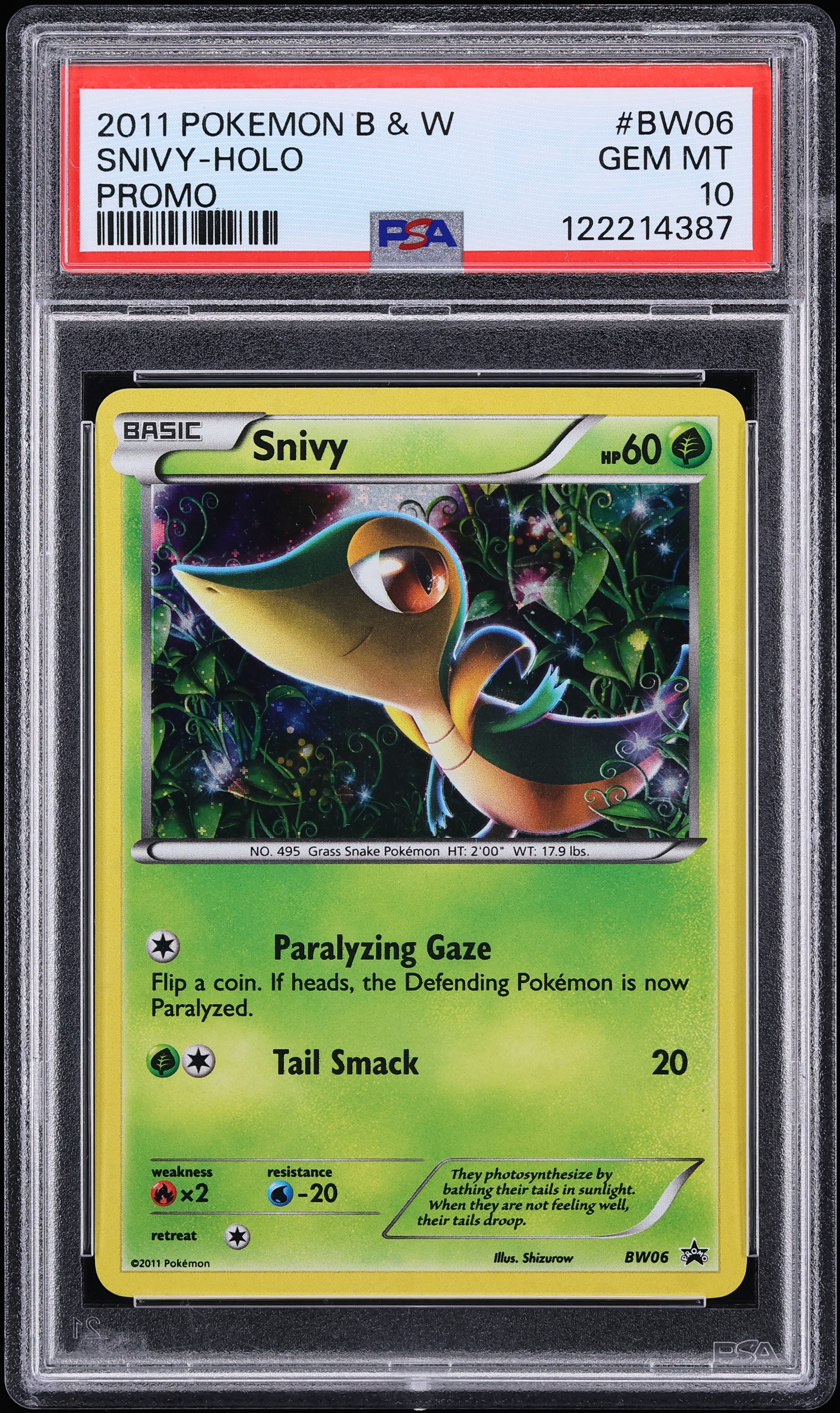 2011 Pokemon Black & White Promo Holo Snivy #BW06 PSA 10 GEM MINT