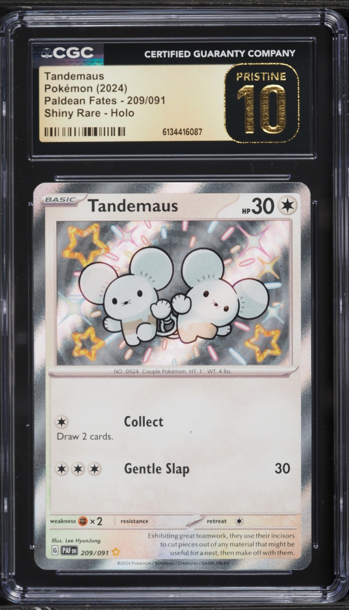 2024 Pokemon Scarlet & Violet Paldean Fates Shiny Rare Tandemaus #209 CGC 10 PRISTINE