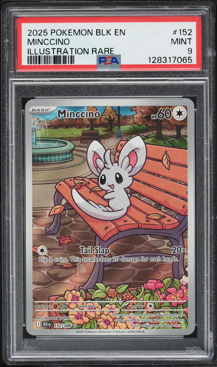 2025 Pokemon Scarlet & Violet Black Bolt IR Minccino #152 PSA 9 MINT