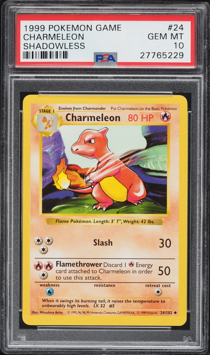 1999 Pokemon Base Set Shadowless Charmeleon #24 PSA 10 GEM MINT