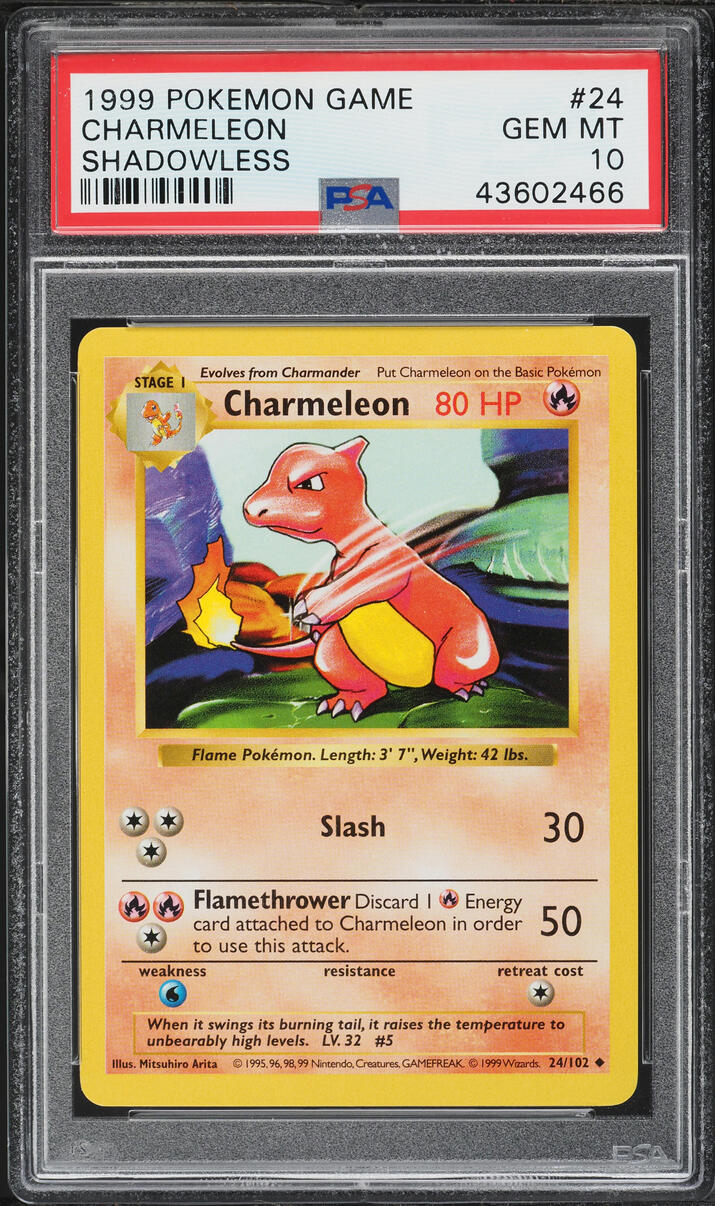 1999 Pokemon Base Set Shadowless Charmeleon #24 PSA 10 GEM MINT