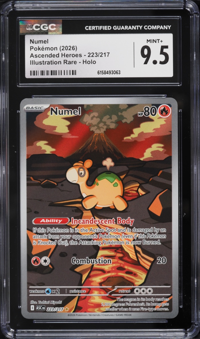 2026 Pokemon Mega Evolution Ascended Heroes IR Numel #223 CGC 9.5 MINT+