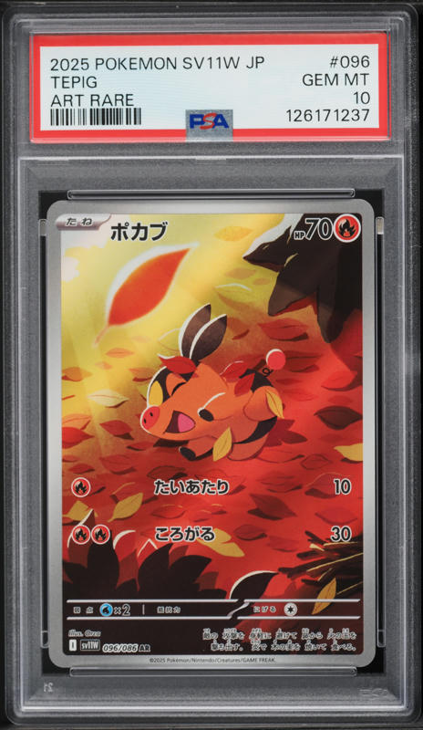 2025 ポケモンカード Hilda #173 SPECIAL ART RARE 2025 ポケモンカード Hilda #173 SPECIAL ART RARE 2025 Pokemon