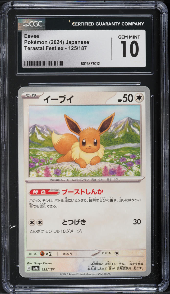 2024 Pokemon Japanese SV Terastal Fest ex Eevee #125 CGC 10 GEM MINT - Main Image