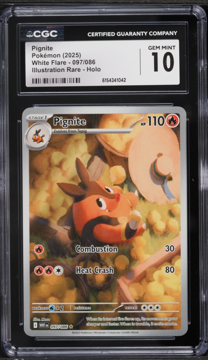 2025 Pokemon Scarlet & Violet White Flare IR Pignite #97 CGC 10 GEM MINT