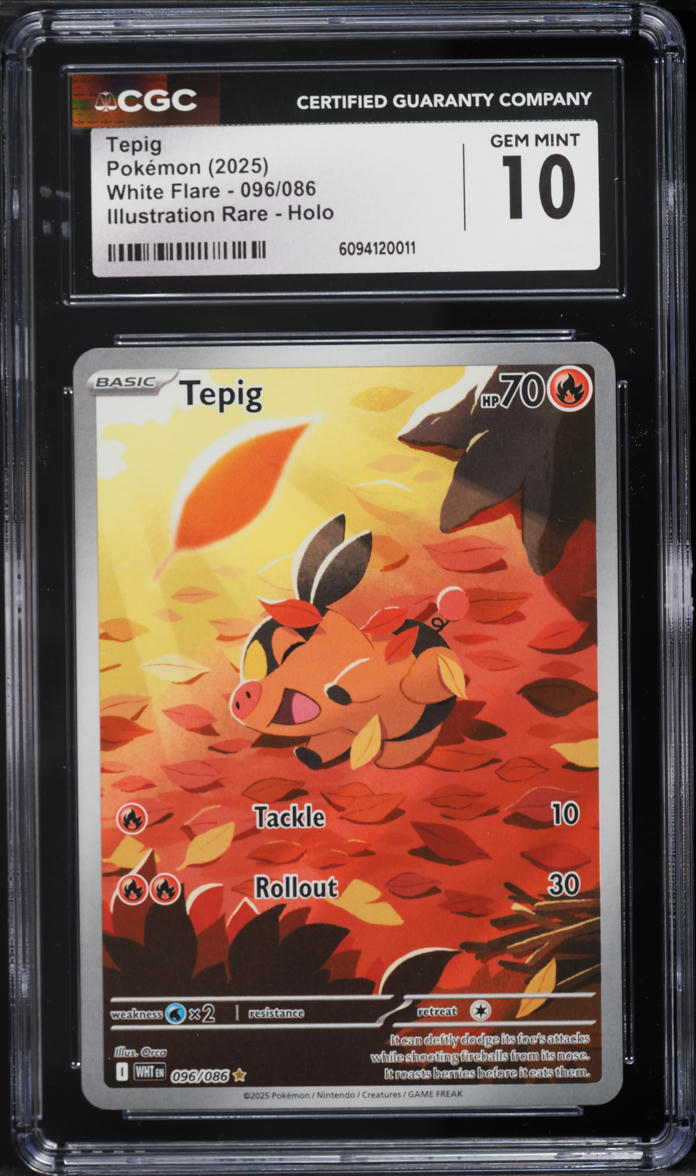 2025 Pokemon Scarlet & Violet White Flare IR Tepig #96 CGC 10 GEM MINT