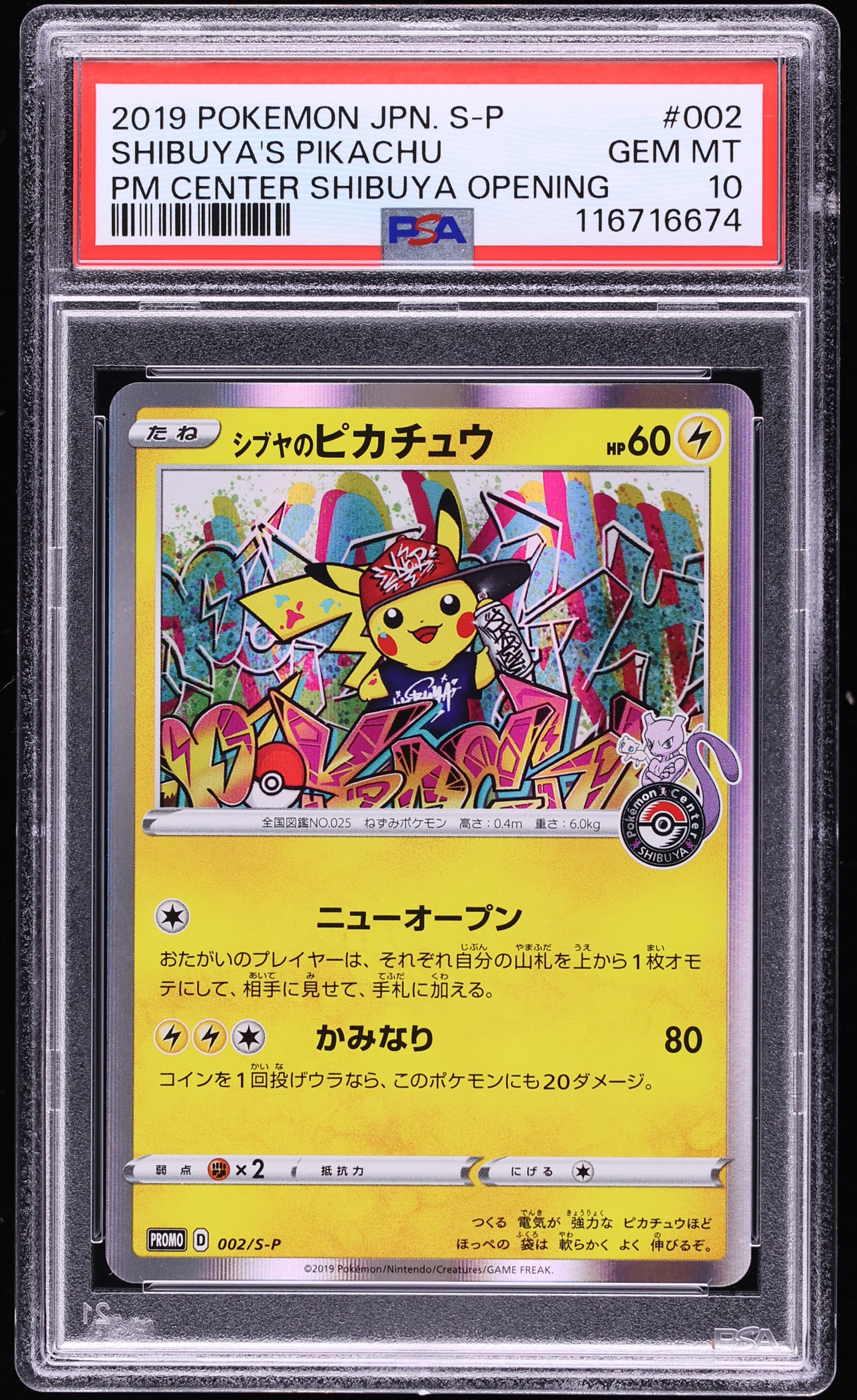 ピカチュウ2 2019 Pokemon Japanese P.M. Center Opening Shibuya's Pikachu