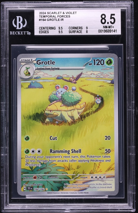 2024 Pokemon Scarlet & Violet Temporal Forces IR Grotle #164 BGS 8.5 NM-MT+