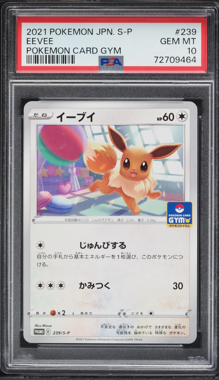 2021 Pokemon Japanese Sword & Shield Promo Gym Eevee #239 PSA 10 GEM MINT