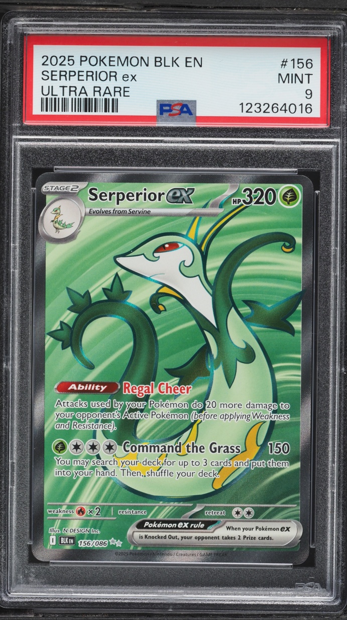 2025 Pokemon Scarlet & Violet Black Bolt Full Art Serperior ex #156 PSA 9 MINT