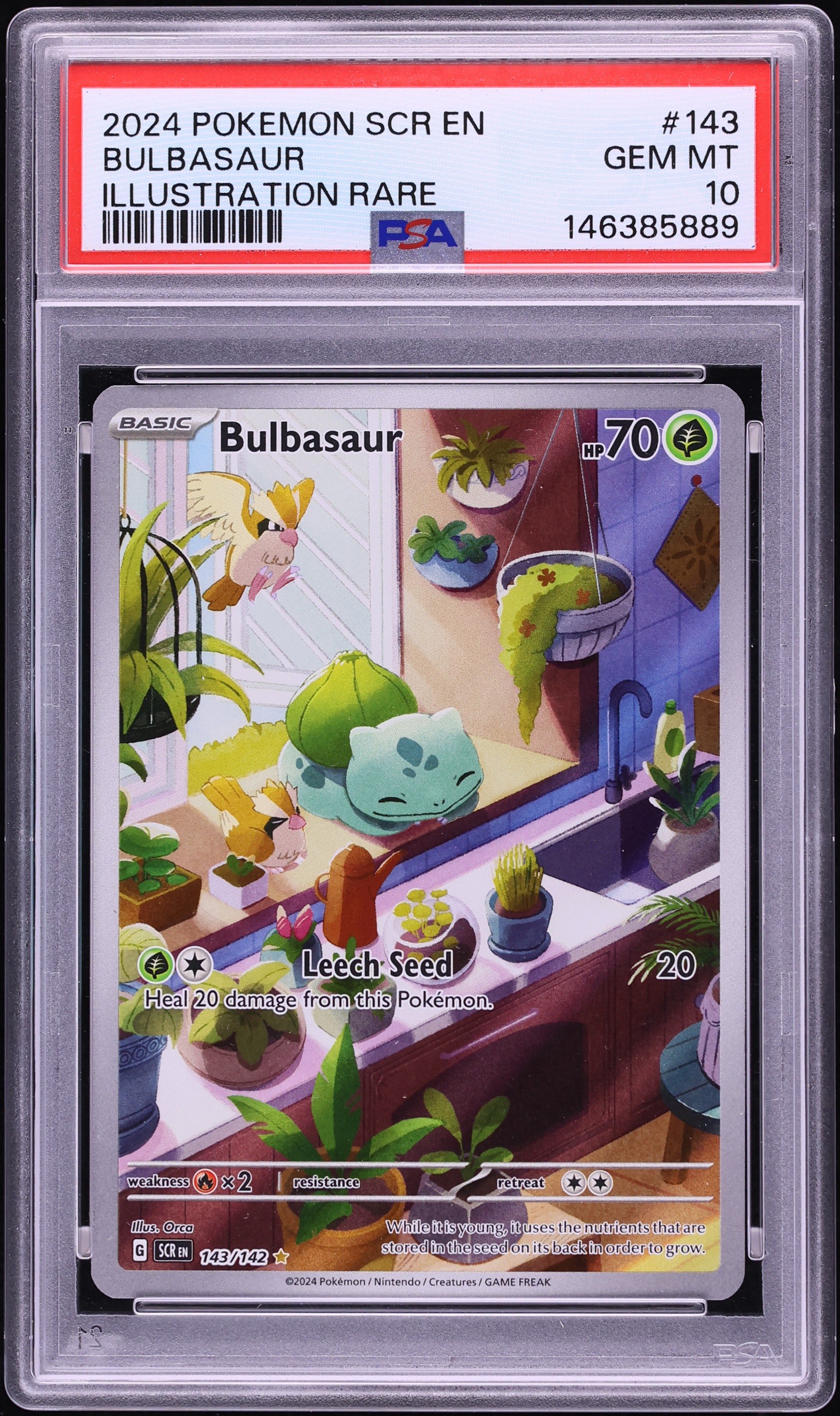 2024 Pokemon Scarlet & Violet Stellar Crown IR Bulbasaur #143 PSA 10 GEM MINT