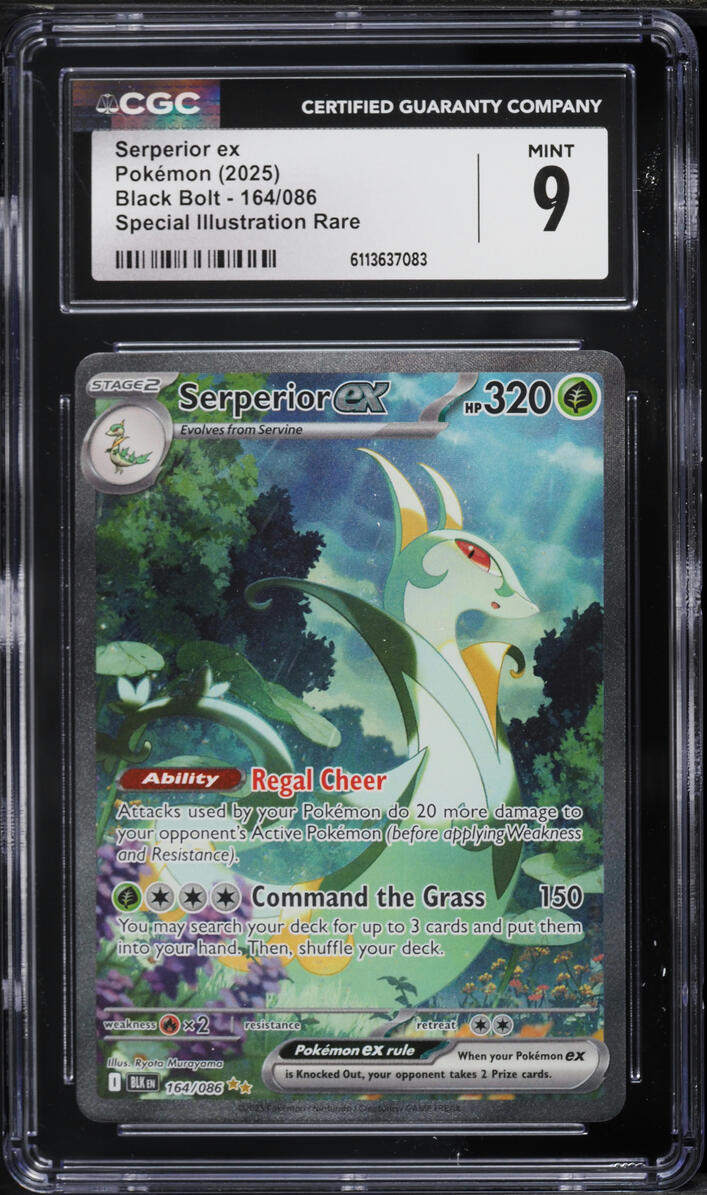 2025 Pokemon Scarlet & Violet Black Bolt SIR Serperior ex #164 CGC 9 MINT