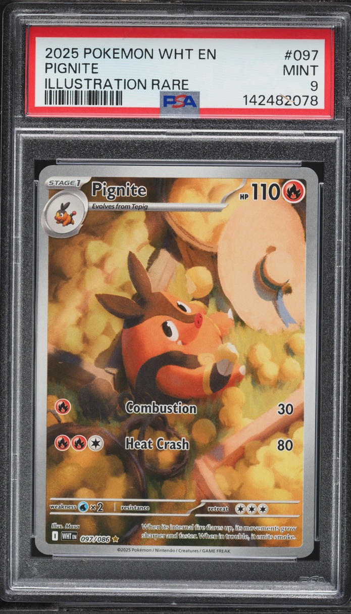 2025 Pokemon Scarlet & Violet White Flare IR Pignite #97 PSA 9 MINT